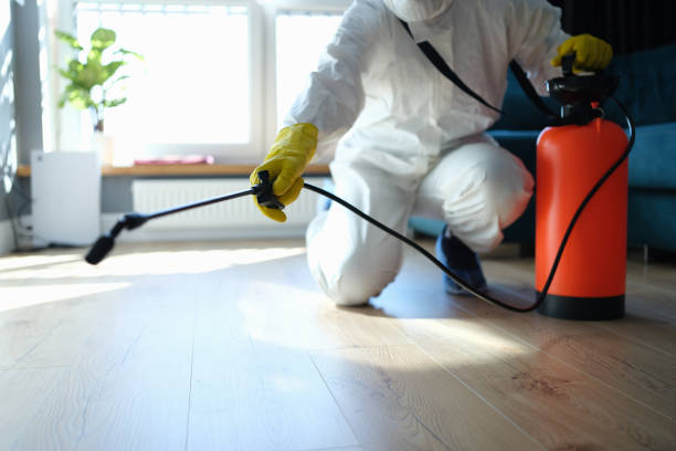 Reliable Infectious Disease Decontamination contractor in Ihlen, MN by Trauma Clean Pros